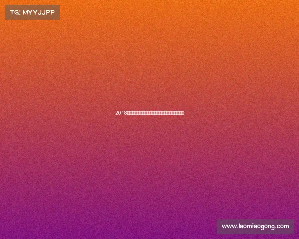 2018年俄罗斯世界杯足球赛摩洛哥队英勇表现与征程回顾