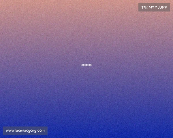 拳击比赛职业拳击